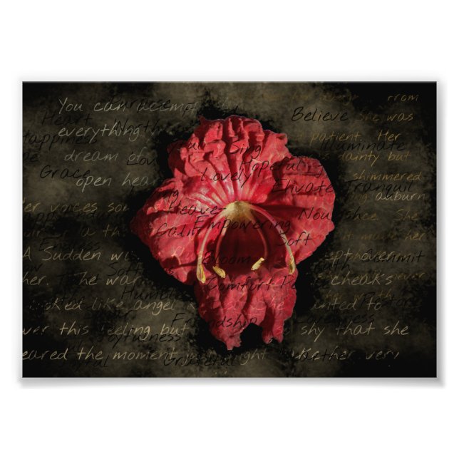 Foto Flor Vermelha em Texto Grunge (Frente)