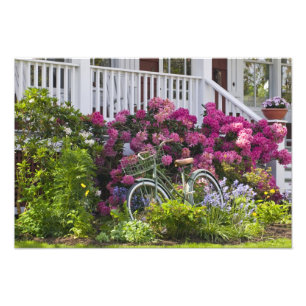 Foto Floração de primavera espetacular, antiquado capri