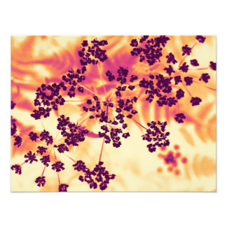 Foto floral