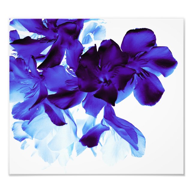 Foto floral (Frente)