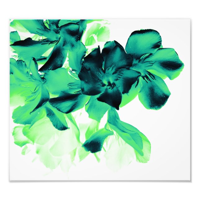Foto floral (Frente)