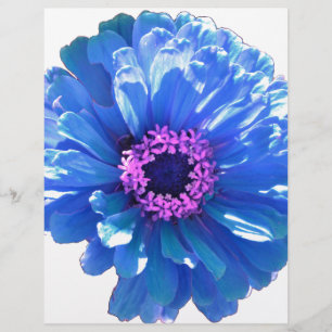 Foto floral azul-margarida