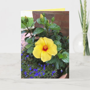 "Foto Floral" Cartão de Saudação em Branco