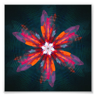 Foto Floral Flores de Mandala Laranja Vermelho Abstrato