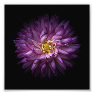 Foto Flores 20