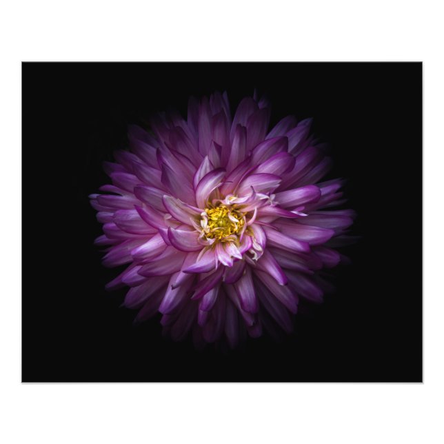 Foto Flores 20 (Frente)