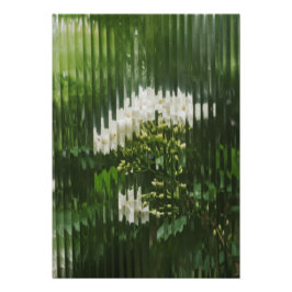 Foto Flores Brancas Abstratas através de Vidro Canelado