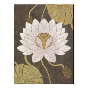 Foto Flores Brancas De Lotus Em Meio A Águas Tranquilas