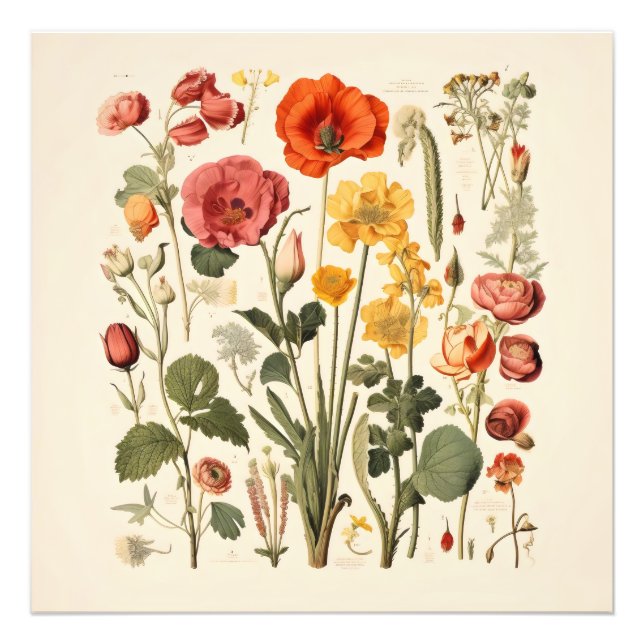 Foto Flores Da Velha Escola (Frente)