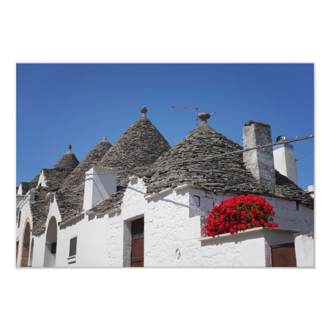 Foto Flores de gerânio e casas de trulli em Alberobello (Frente)