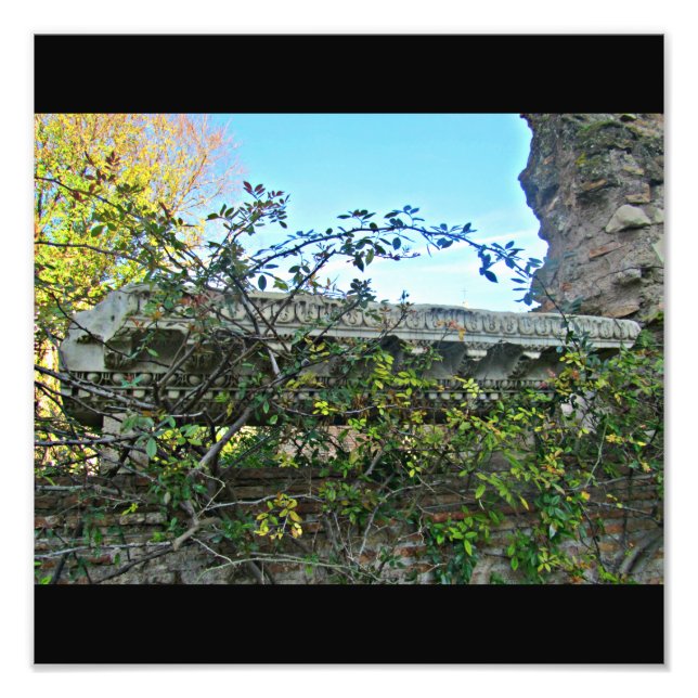 Foto Flores do Fórum Romano (Frente)