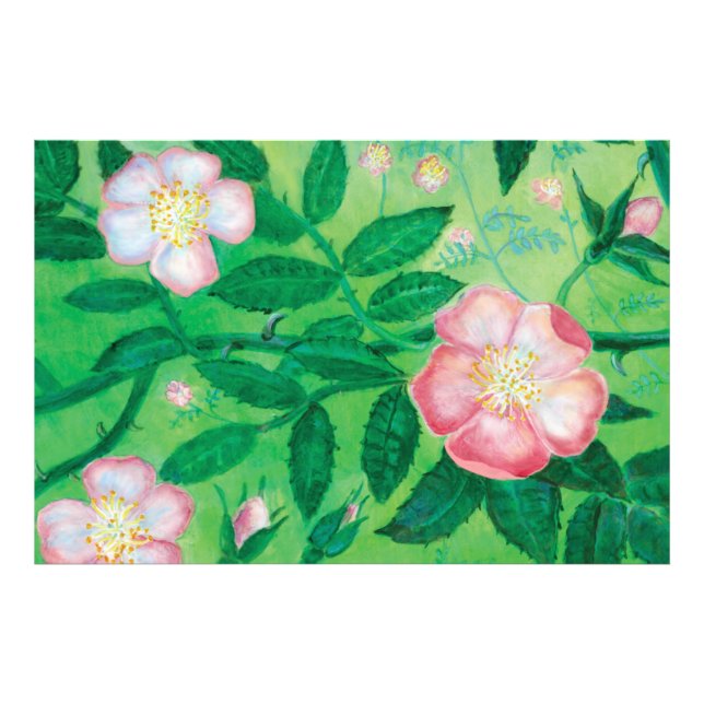 Foto Flores rosa selvagens (Frente)