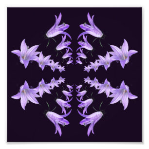 Foto Flores Roxas Abstrato Mirror Art 8x8