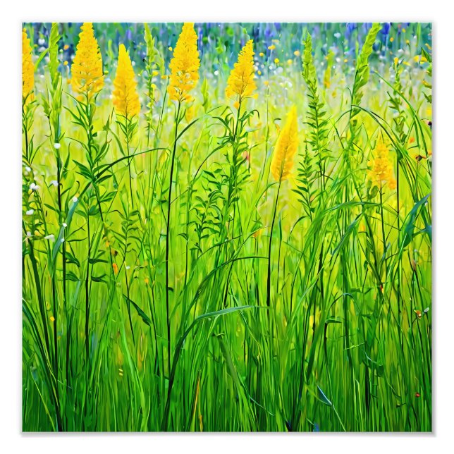 Foto Flores selvagens vibrantes no verão (Frente)