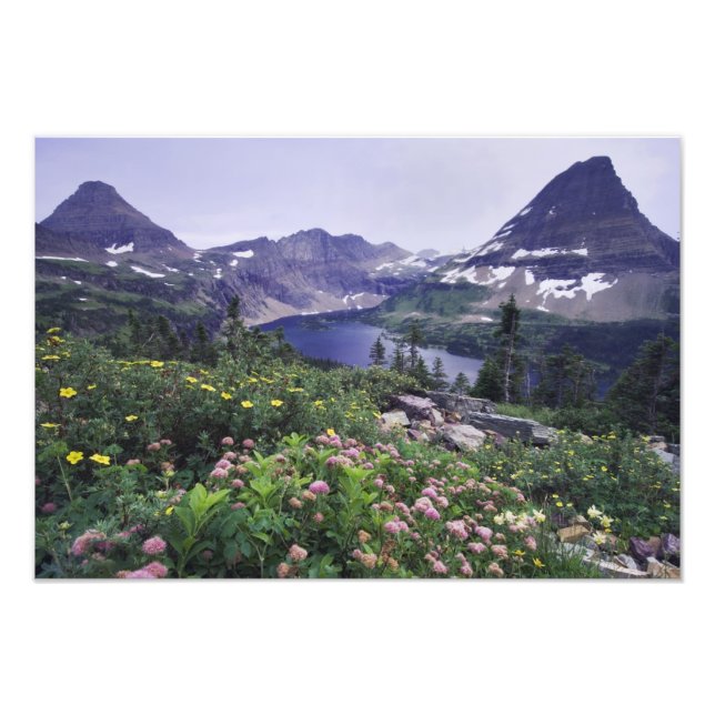 Foto Flores silvestres e Lago Escondido, Arbustivo (Frente)