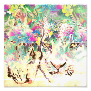 Foto Flores tropicais-leopardo-da-neve Animal do Havaí