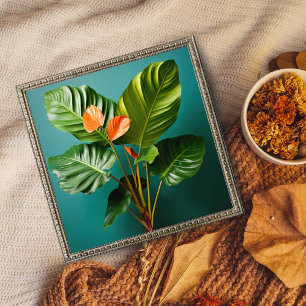 Foto Flores Vibrantes de Filodendron e Anthurium