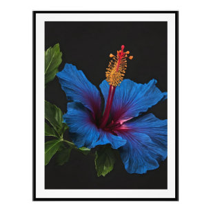 Foto "Florescimento Sereno: A Beleza das Flores de Hibi