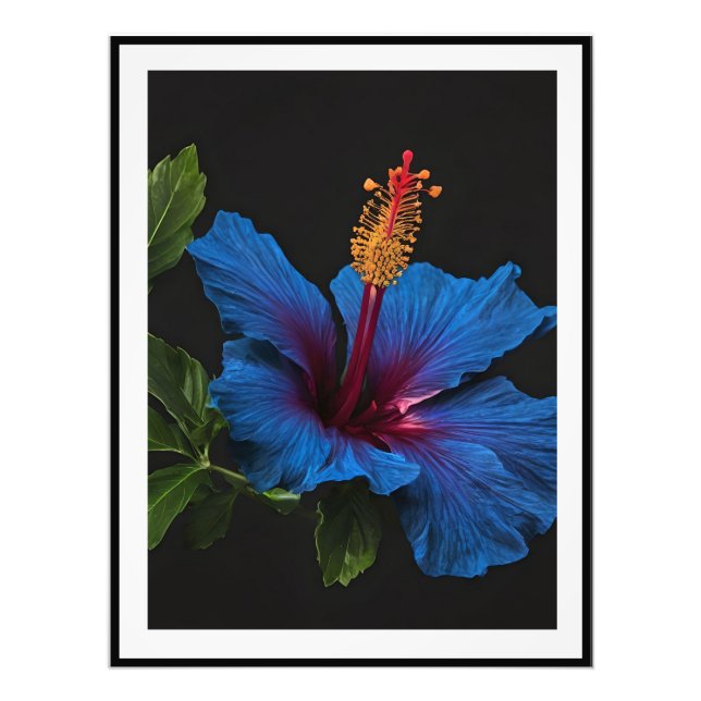 Foto "Florescimento Sereno: A Beleza das Flores de Hibi (Frente)
