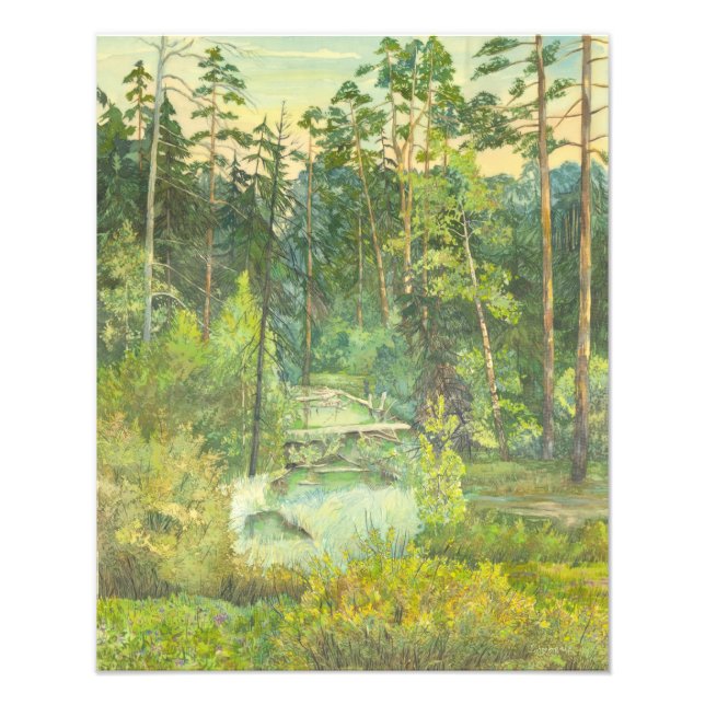 Foto floresta (Frente)