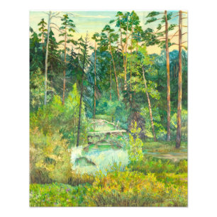 Foto Floresta