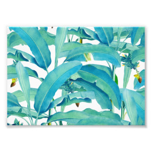 Foto Floresta da banana
