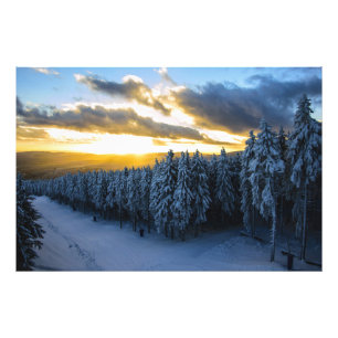 Foto Floresta de inverno