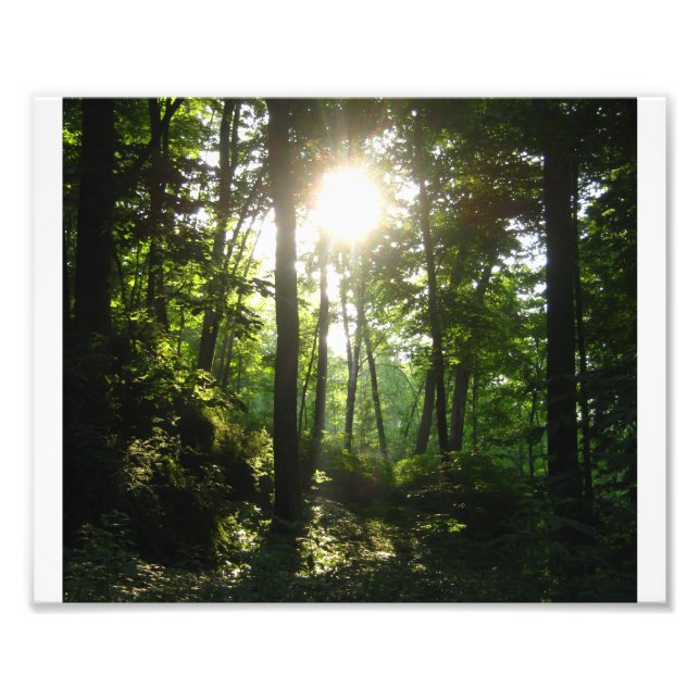 Foto Floresta de Wapsipinicon (Frente)
