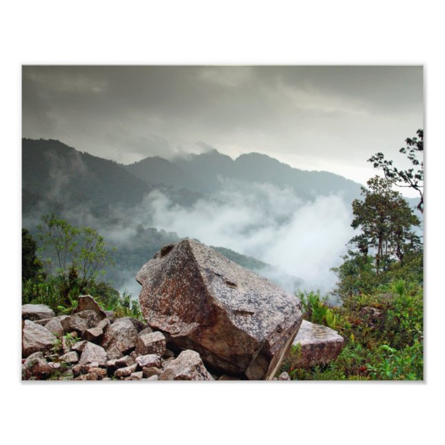 Foto Floresta em Nuvem (Frente)