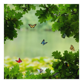 Foto Floresta Encantada das Borboletas