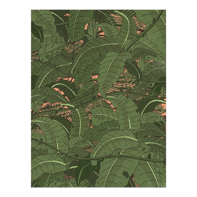 Foto Floresta Tropical da Selva (Frente)