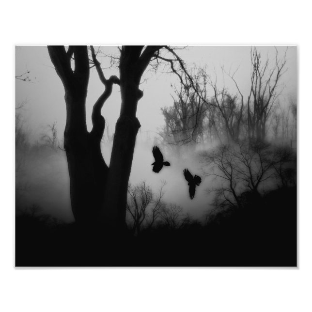 Foto Florestas Misteriosas Escuras (Frente)