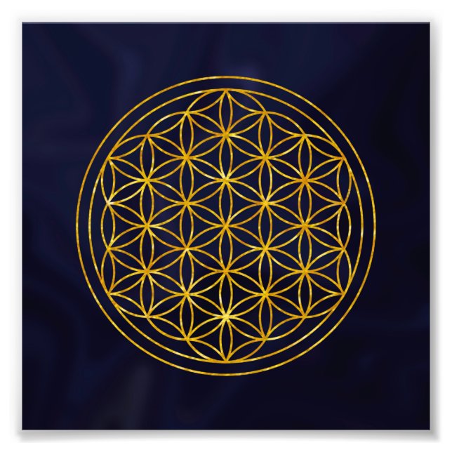 Foto flower of life (Frente)