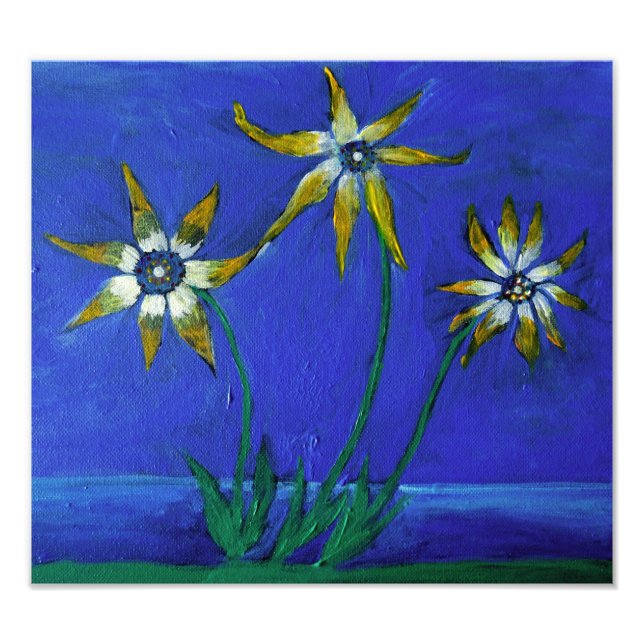 Foto Flowers Art, Kodak Professional Photo (Frente)