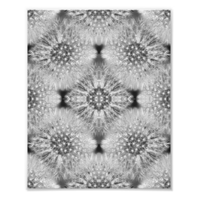 Foto Fluffy White Dandelions Abstrato Natureza 8x10 (Frente)