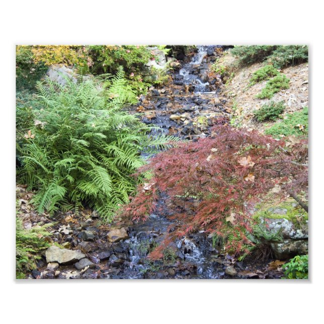 Foto Fluxo Tranquilo (Frente)