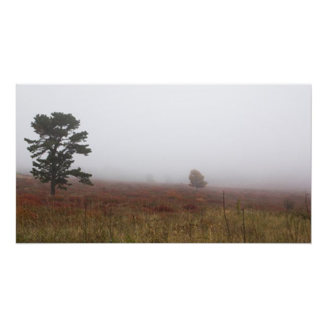 Foto Foggy Big Meadows durante o outono, Virginia (Frente)
