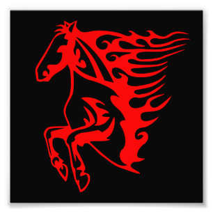 Foto Fogo Chato Vermelho Bronco Mustang Cavalo Selvagem