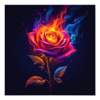 Foto Fogo e a Rosa