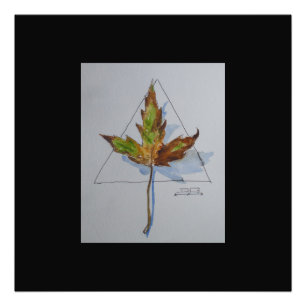 Foto Folha de outono