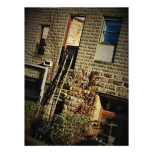 Foto "Folhagem de cerveja"