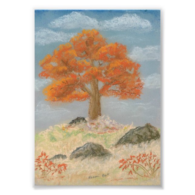 Foto Folhagem de outono (Frente)