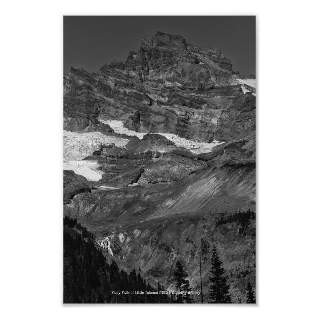 Foto Folhas de fadas de Pequeno Tahoma (Frente)