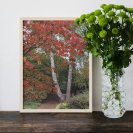 Foto Folhas de outono Coloridas