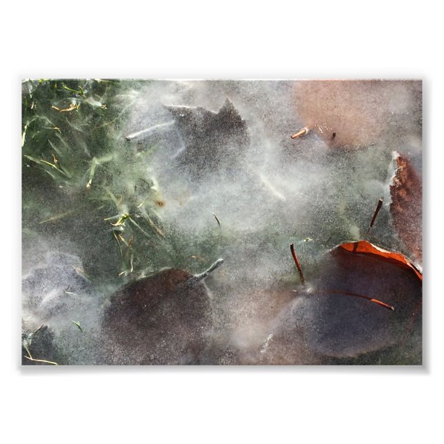 Foto folhas sob gelo (Frente)