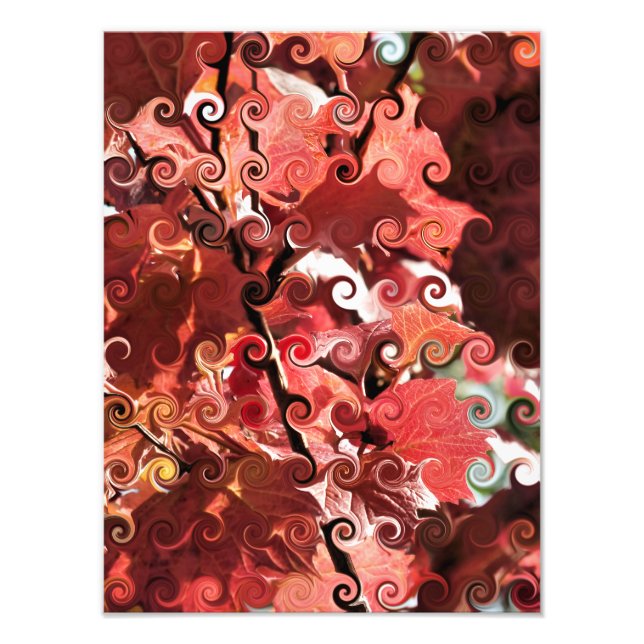 FOTO FOLHAS VERMELHAS (Frente)