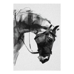 Foto Força Equina em Monocromia
