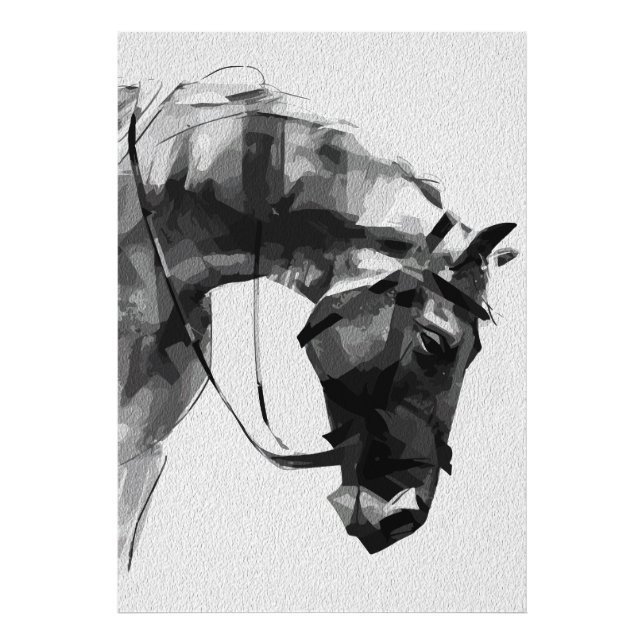 Foto Força Equina em Monocromia (Frente)