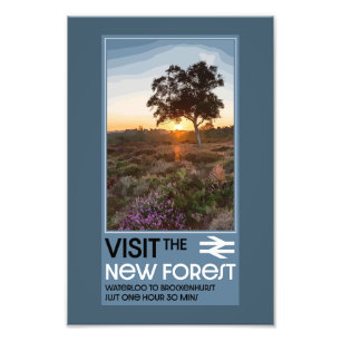 Foto Forest Hampshire England