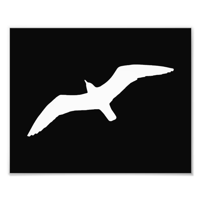 Foto Forma de gaivota (Frente)